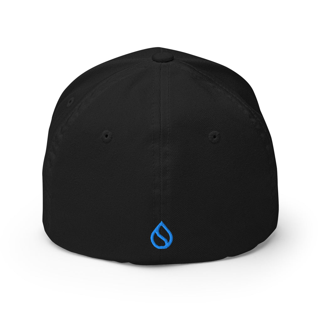 Embroidered Sui FlexFit Dad Hat - black back view