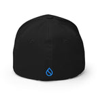 Embroidered Sui FlexFit Dad Hat - black back view