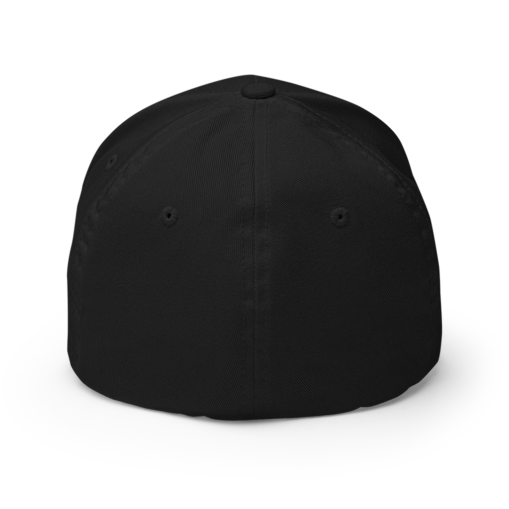 The Satoshi Crypto Flexfit Hat - black back view
