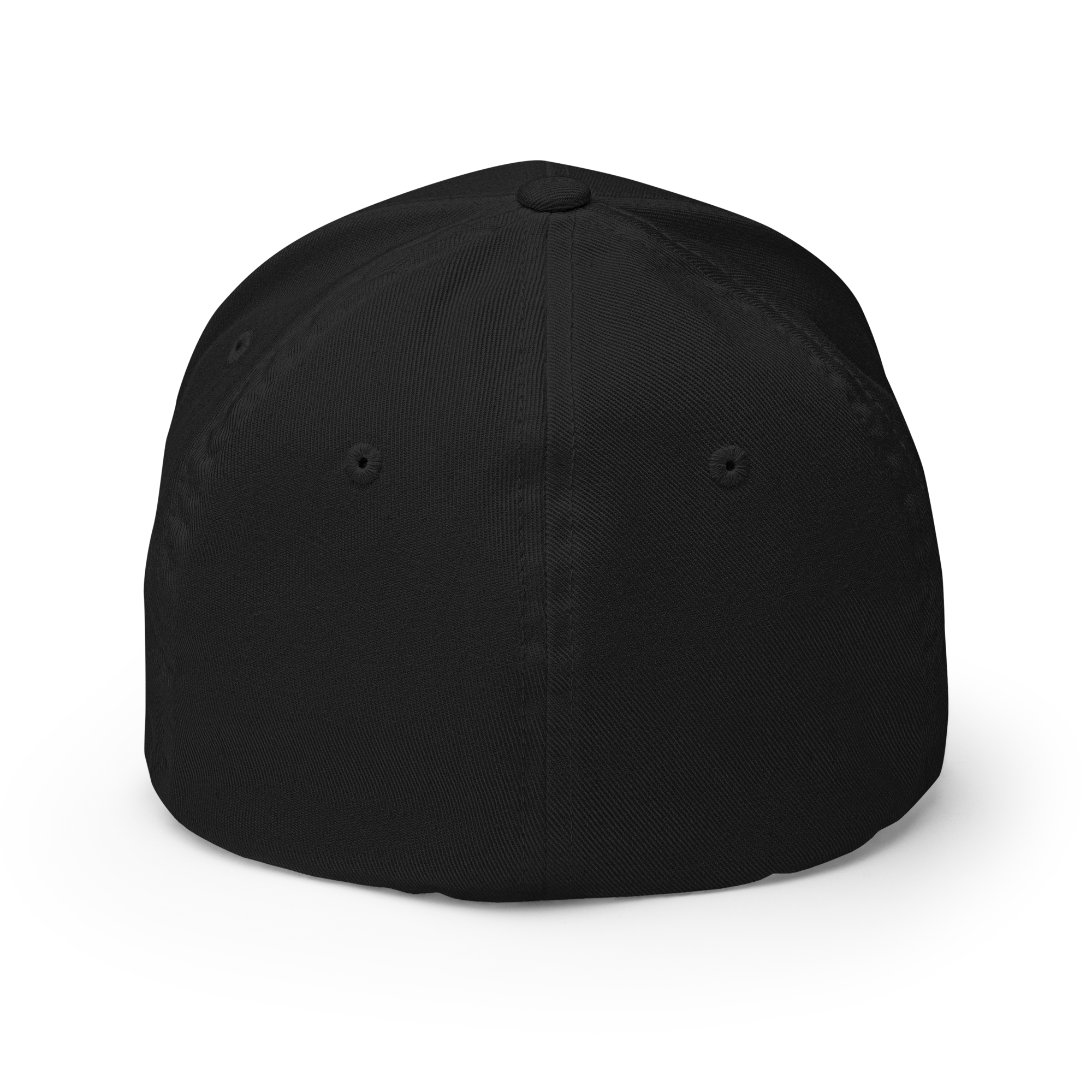 The Satoshi Crypto Flexfit Hat - black back view