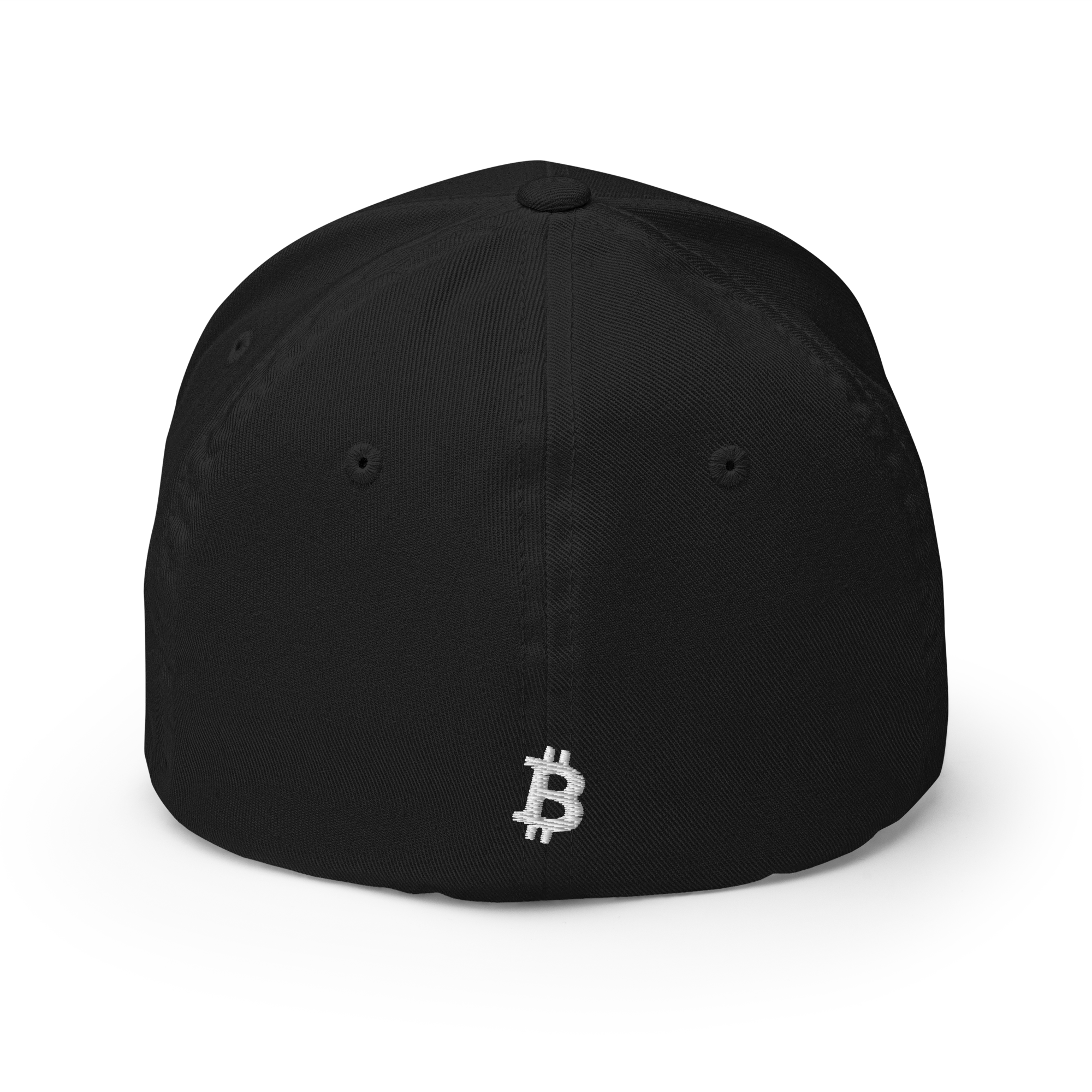 21 Million Crypto Flexfit Hat - black back view