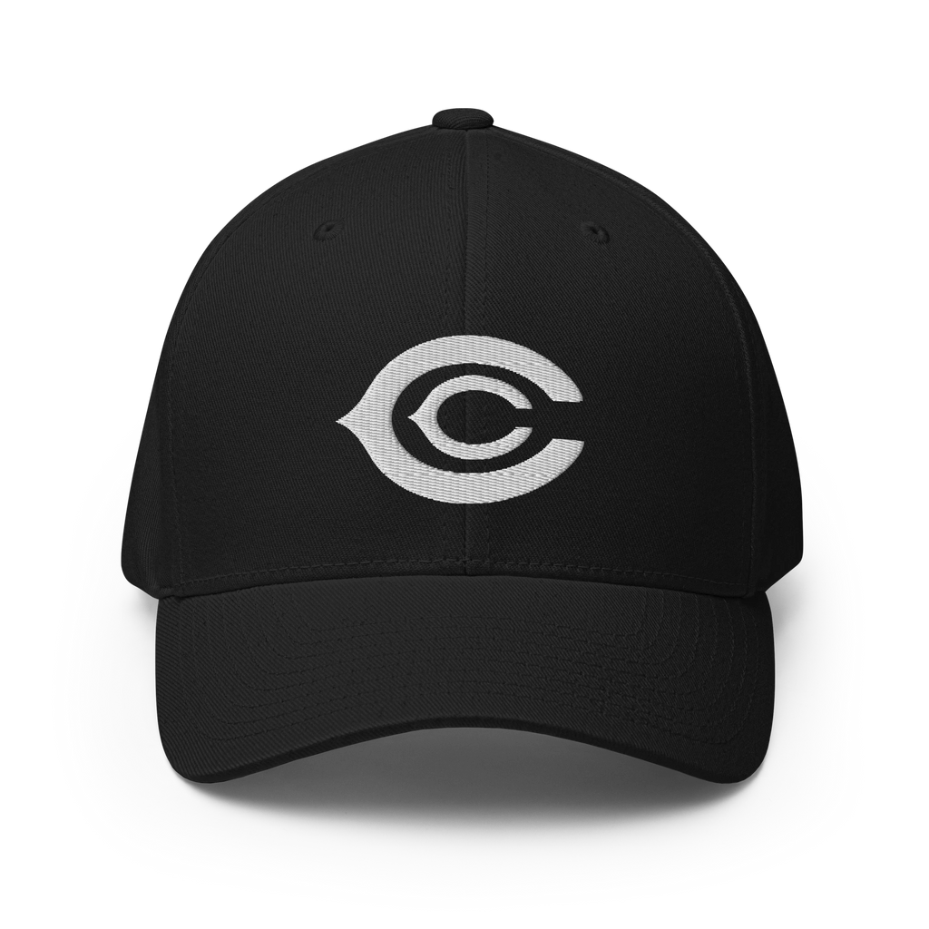 The CC Cap Crypto Flexfit Hat - black front view