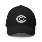 The CC Cap Crypto Flexfit Hat - black front view