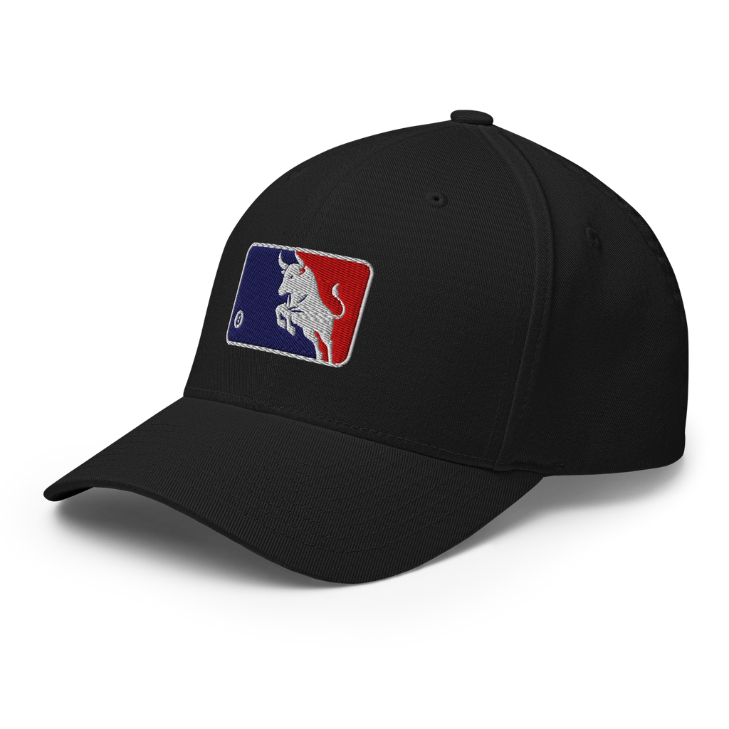 Bull Market Crypto Flexfit Hat - black left-front view