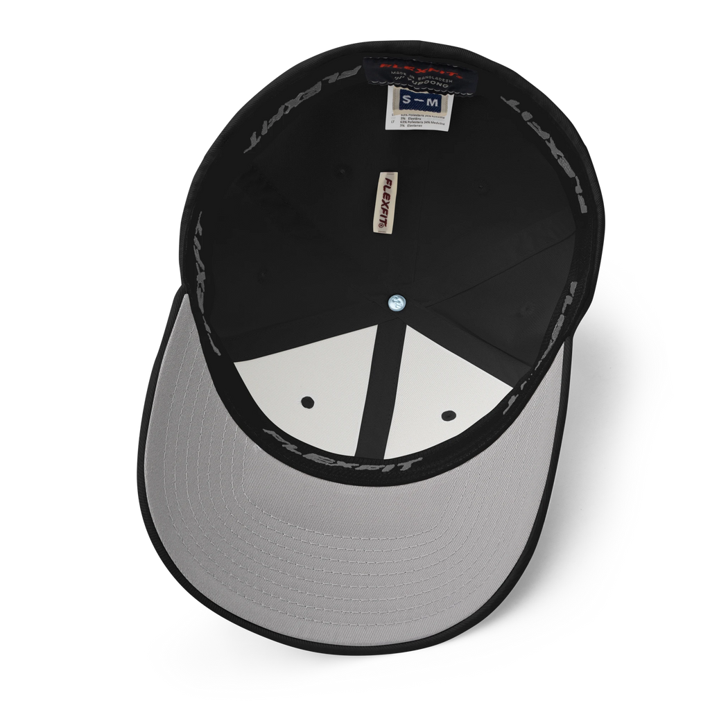 The OG Crypto Flexfit Hat - black product details