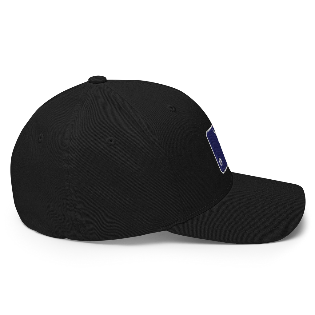 Bull Market Crypto Flexfit Hat - black right-side view