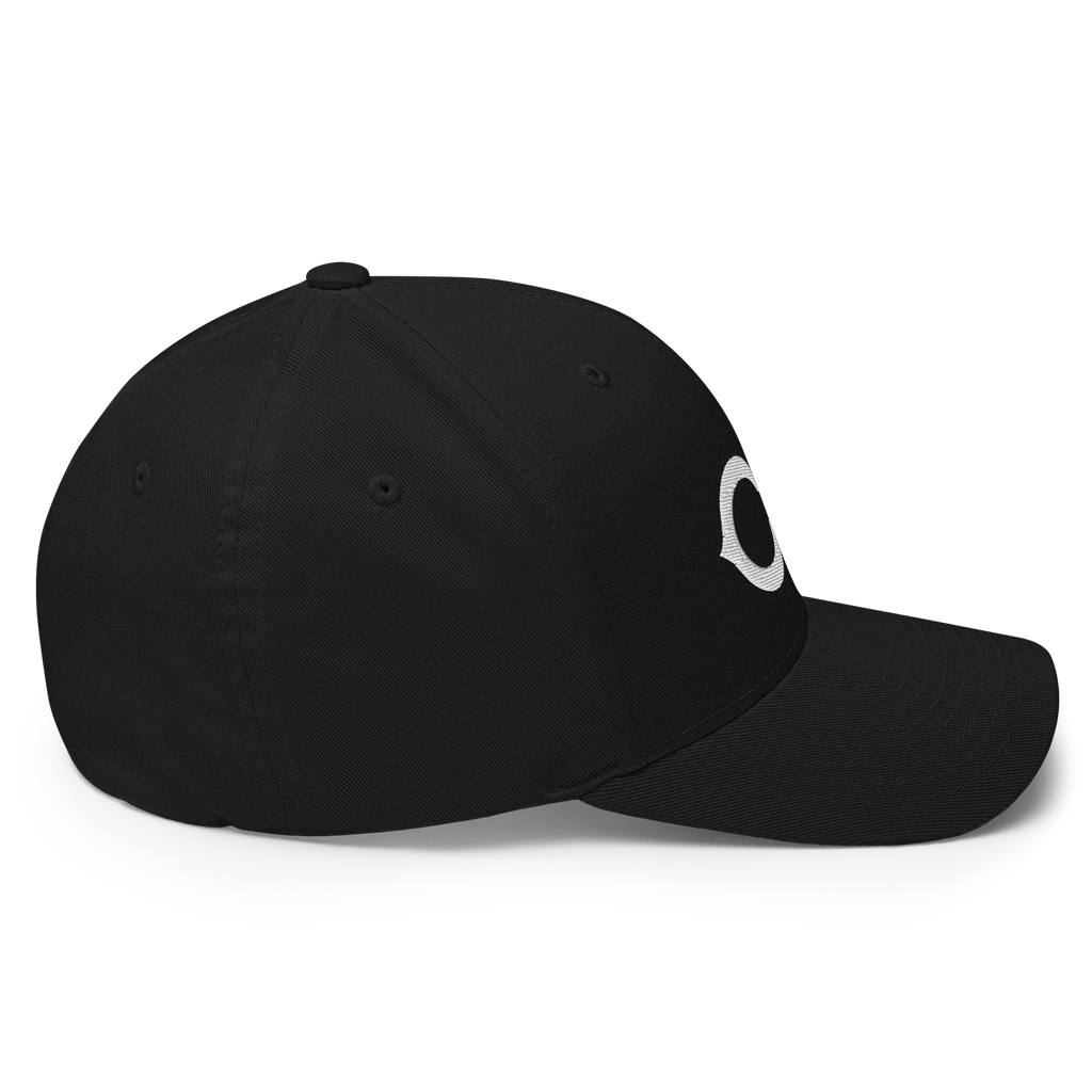 The Monogram Crypto Flexfit Hat - black right-side view