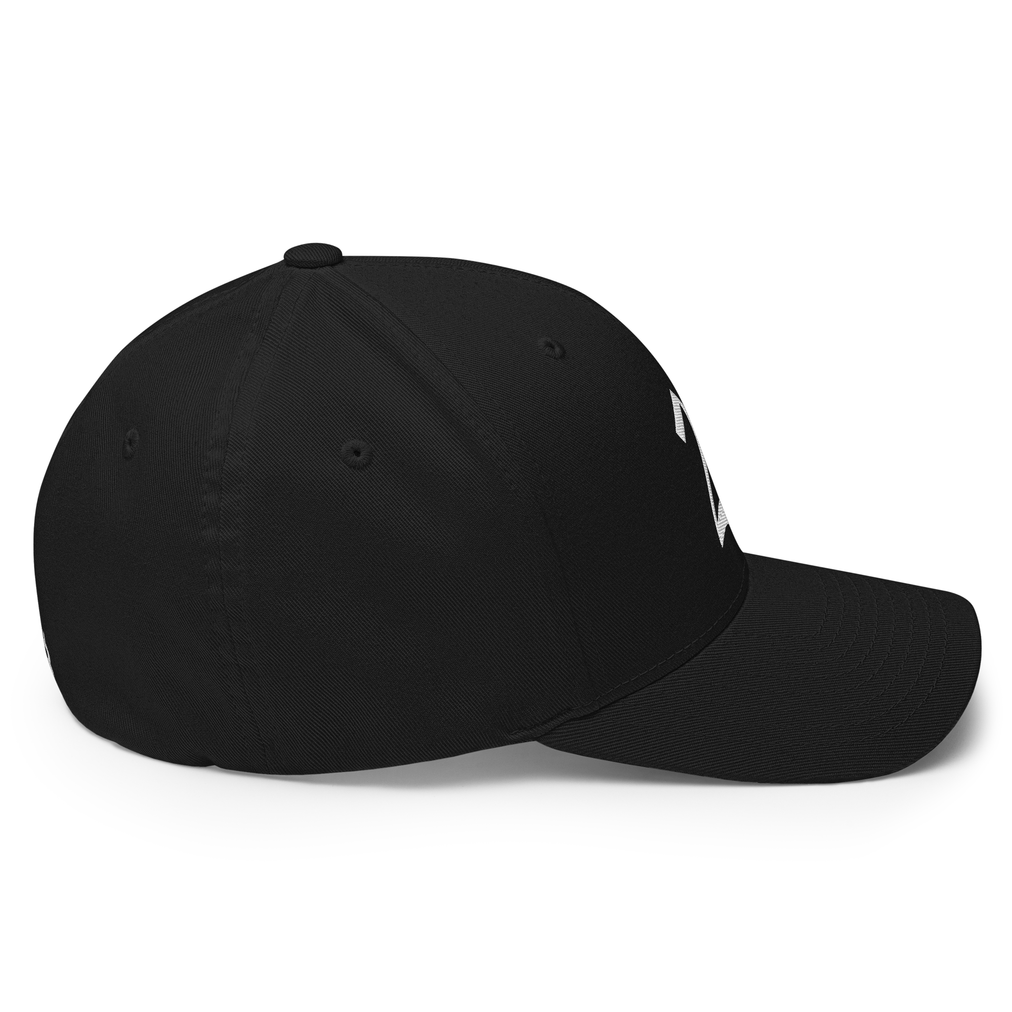 21 Million Crypto Flexfit Hat - black right-side view