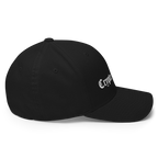 The OG Crypto Flexfit Hat - black right-side view