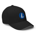 Embroidered Litecoin FlexFit Dad Hat - black right front view
