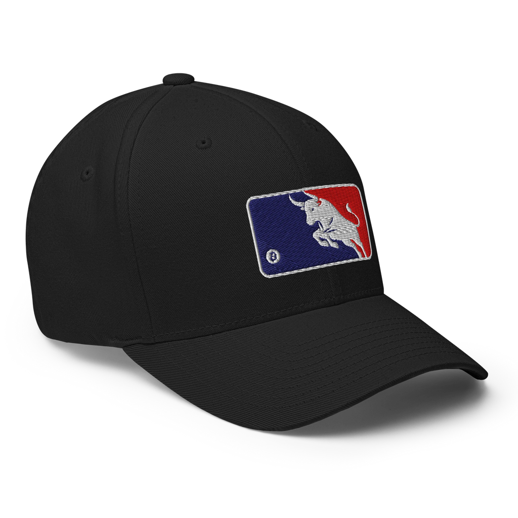 Bull Market Crypto Flexfit Hat - black right-front view