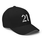 21 Million Crypto Flexfit Hat - black right-front view