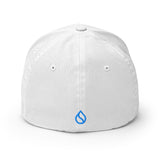 Embroidered Sui FlexFit Dad Hat