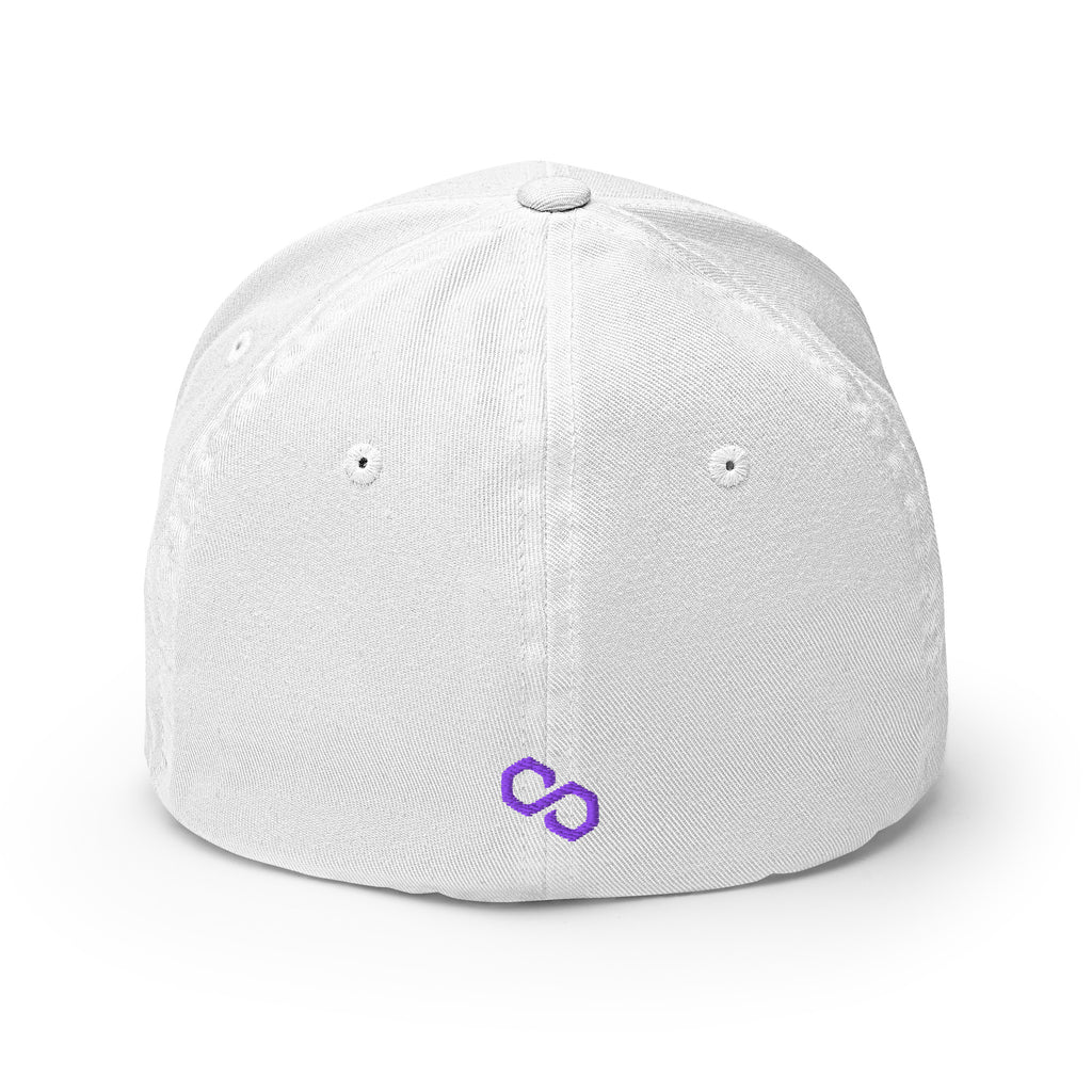 Embroidered Polygon FlexFit Dad Hat - white back view