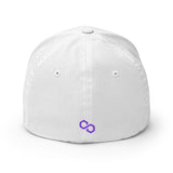 Embroidered Polygon FlexFit Dad Hat - white back view