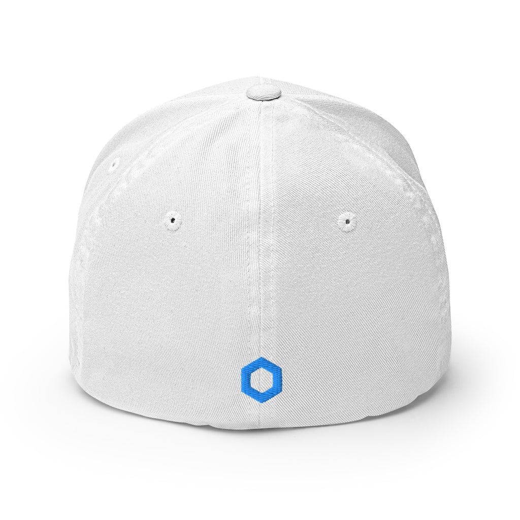 Embroidered Chainlink FlexFit Dad Hat - white back view