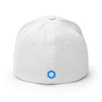 Embroidered Chainlink FlexFit Dad Hat - white back view