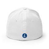 Embroidered Litecoin FlexFit Dad Hat - white back view