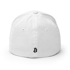 Embroidered Satoshi Katakana FlexFit Dad Hat