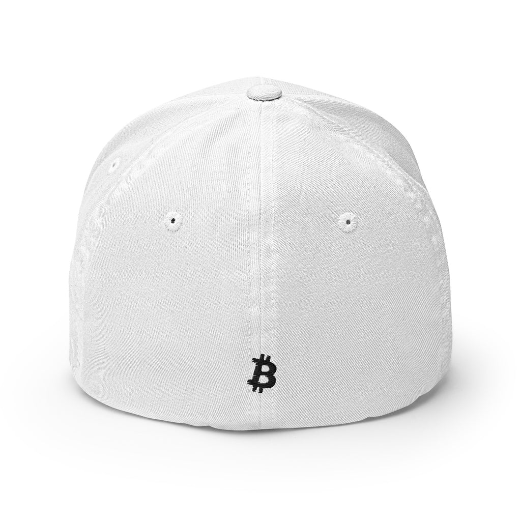 Embroidered Bitcoin FlexFit Dad Hat — Design 2
