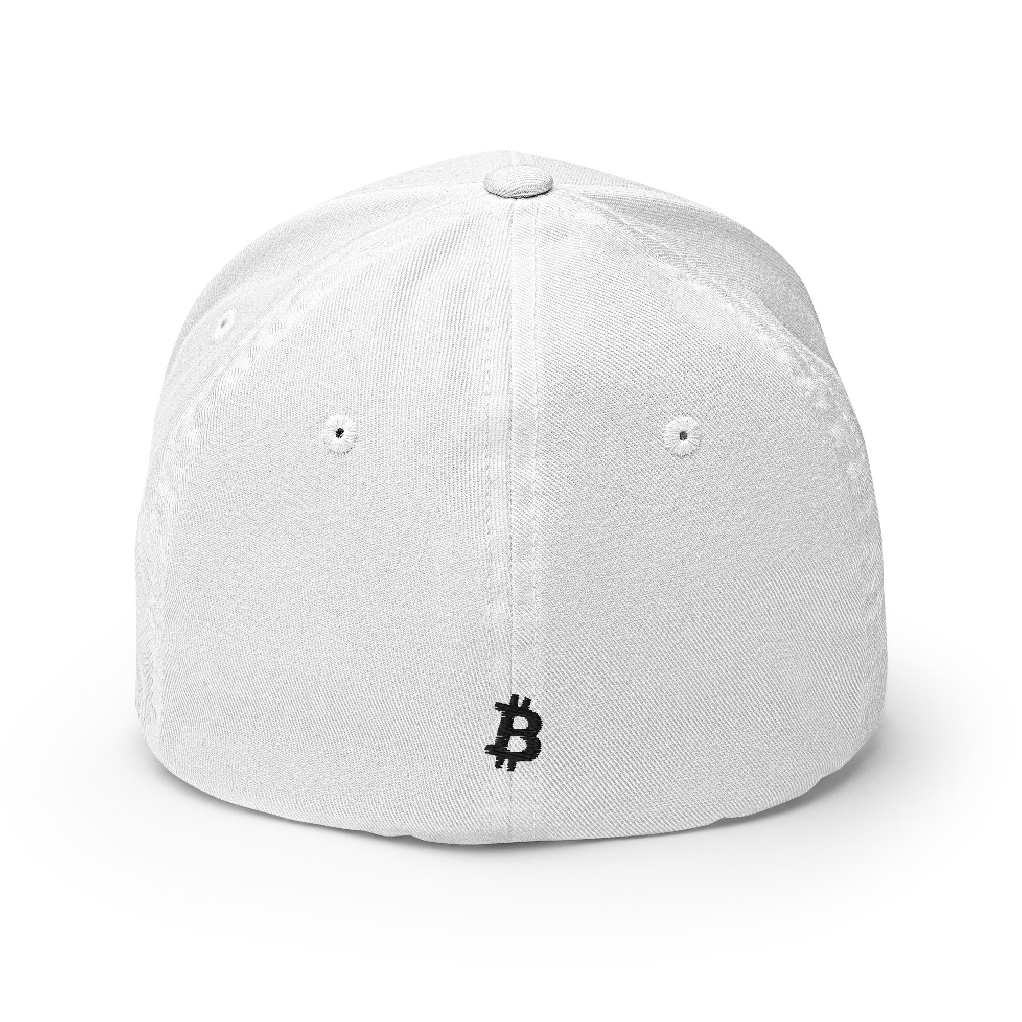 Embroidered Bitcoin FlexFit Dad Hat