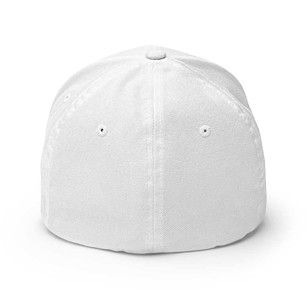 The Satoshi Crypto Flexfit Hat - white back view