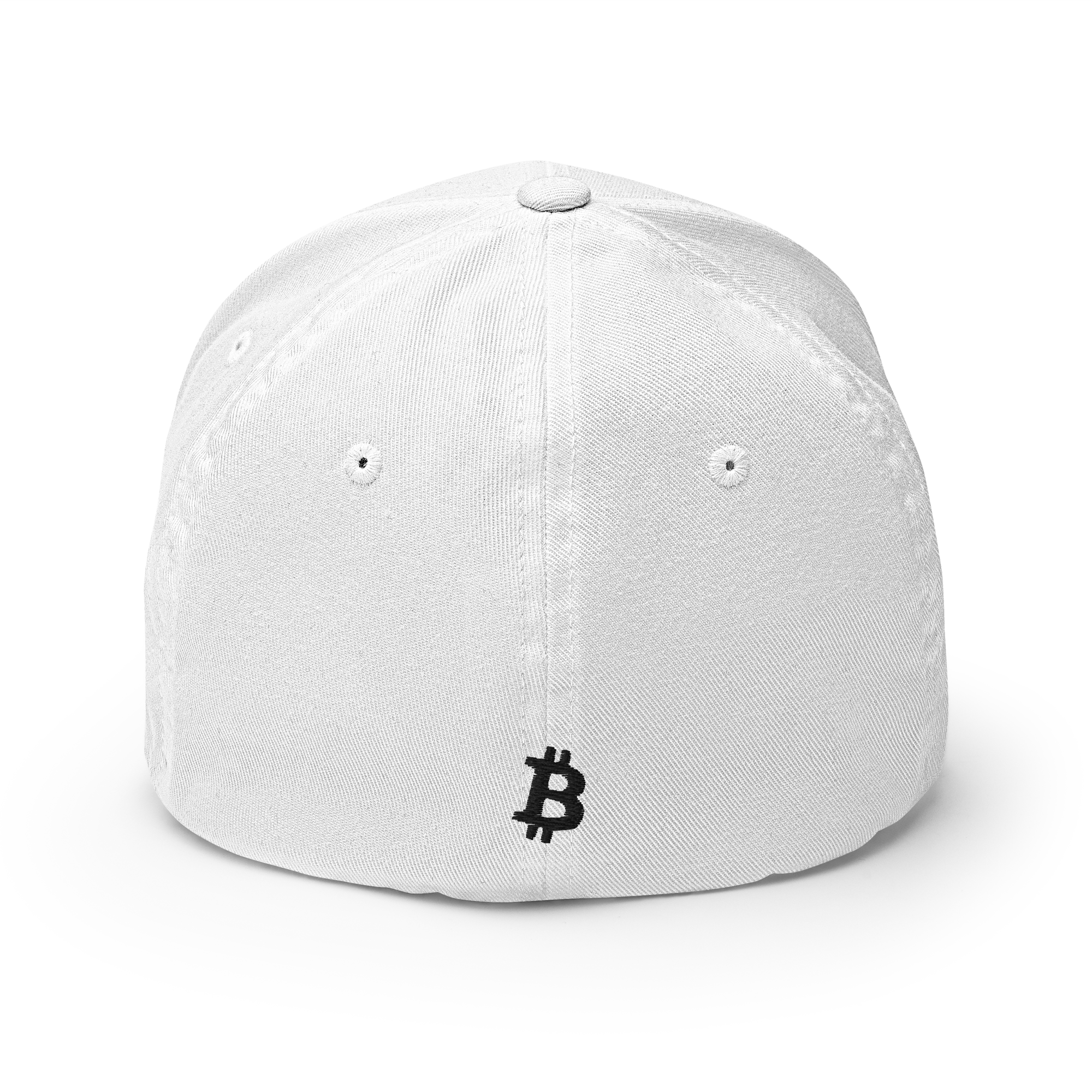 Bitcoin Script Crypto Flexfit Hat - white back view