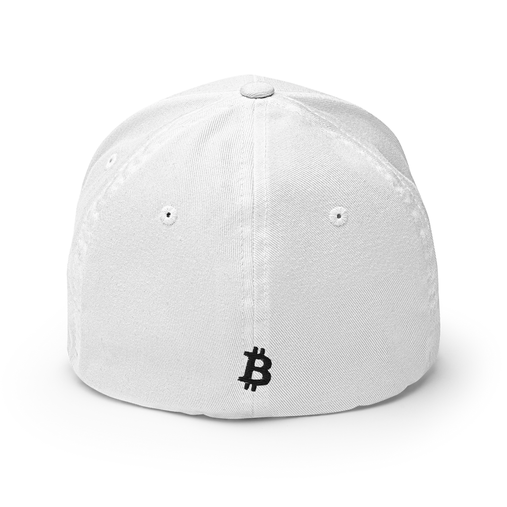 21 Million Crypto Flexfit Hat - white back view