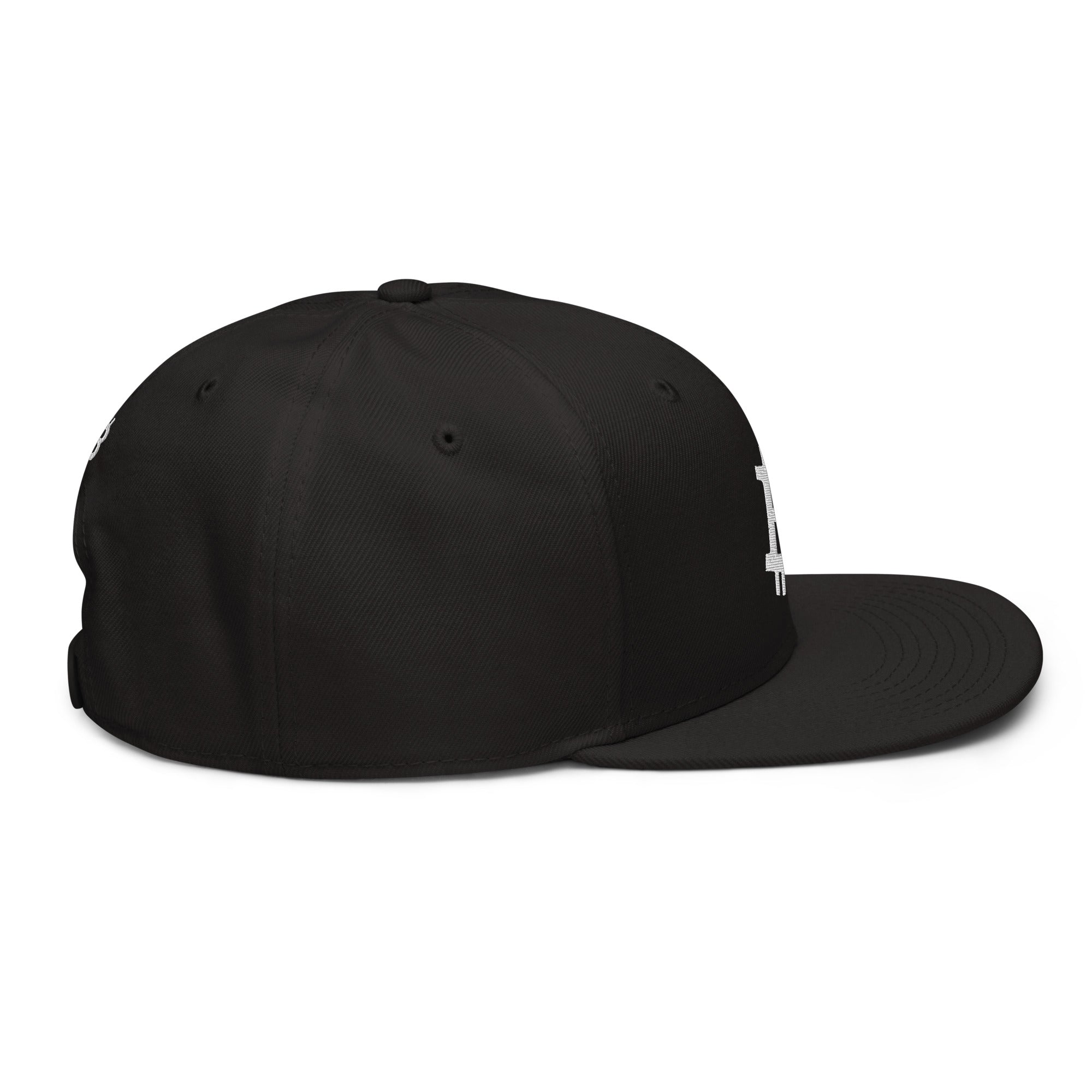 Embroidered Bitcoin BTC crypto snapback black - right side view